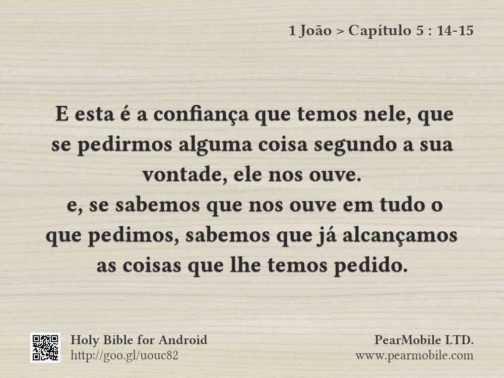 1 João, Capítulo 5:14-15